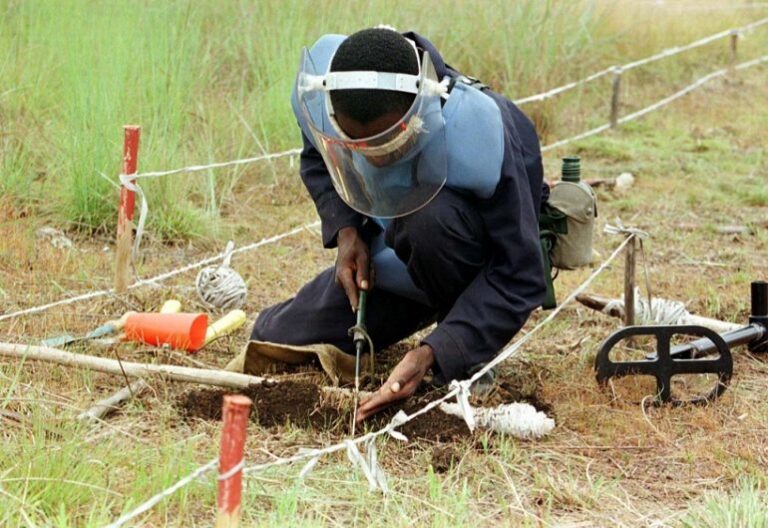 Desminagem das áreas potencialmente agrícolas e de pastoreio