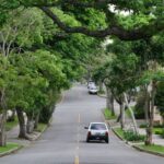 PEIUHAR: Processo de arborização e construção dos espaços verdes em ruas residenciais